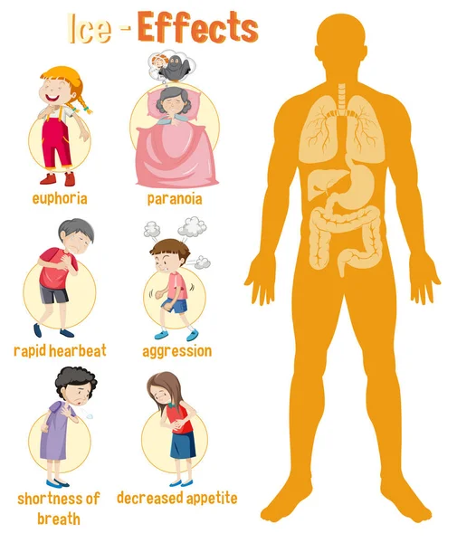 Hälsoeffekter Crystal Meth Infografisk Illustration — Stock vektor