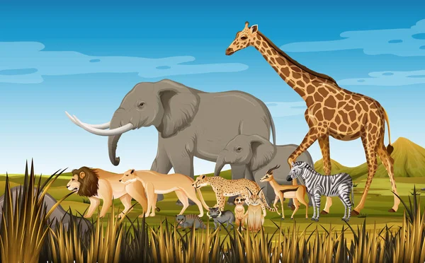 森の中の野生のアフリカの動物のグループ図 — ストックベクタ