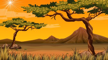 Gündüz vakti vahşi çöl manzarası