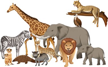 Beyaz arka planda bir grup vahşi Afrika hayvanı