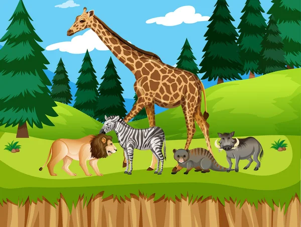 Group Wild African Animal Forest Scene Illustration — Stock Vector