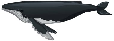 A whale in cartoon style isolated on white background illustration clipart