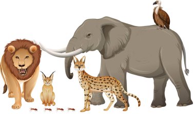 Beyaz arka planda bir grup vahşi Afrika hayvanı