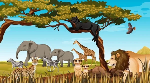 Grupo Animales Salvajes Africanos Escena Forestal Ilustración — Vector de stock