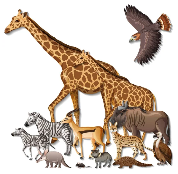Skupina Divokých Afrických Zvířat Bílém Pozadí Ilustrace — Stockový vektor