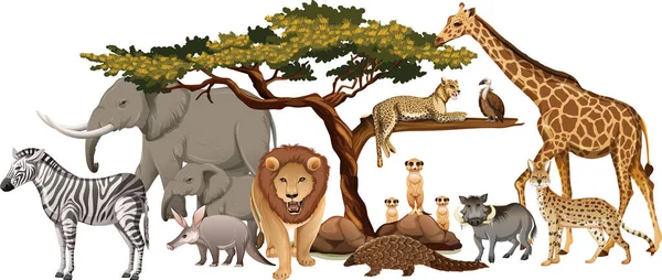 白い背景のイラストに野生のアフリカ動物のグループ — ストックベクタ