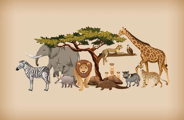 Grupo Animales Silvestres Sobre Ilustración Fondo — Vector de stock