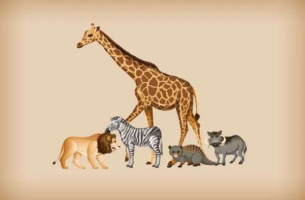 Группа Диких Животных Фоне Иллюстрации — стоковый вектор