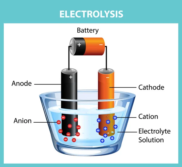 Experimento Diagrama Electrólisis Para Ilustración Educativa — Archivo Imágenes Vectoriales