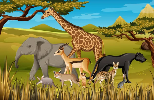 森の中の野生のアフリカの動物のグループ図 — ストックベクタ