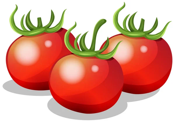 Fresh Tomato White Background Illustration — Stock Vector