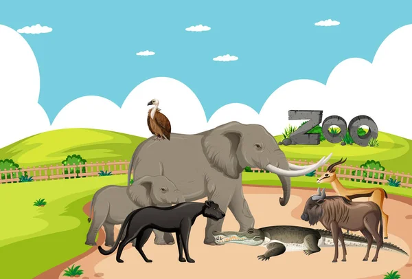 Groep Wild Afrikaans Dier Dierentuin Scene Illustratie — Stockvector