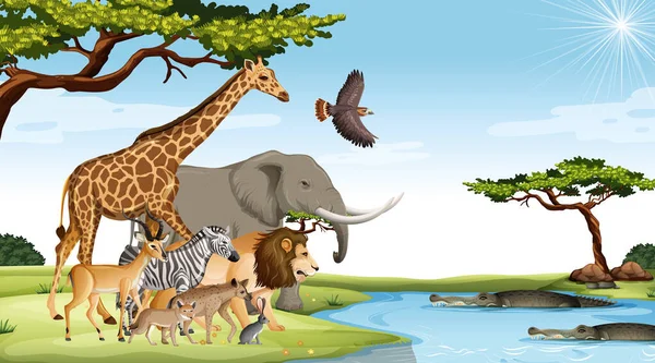 Grupo Animales Salvajes Africanos Escena Forestal Ilustración — Vector de stock