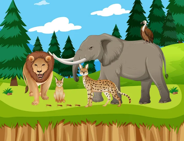 Grupo Animales Salvajes Africanos Escena Del Zoológico Ilustración — Vector de stock