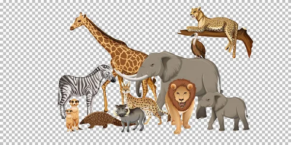 Gruppe Wilder Afrikanischer Tiere Auf Transparentem Hintergrund — Stockvektor