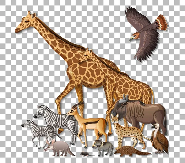 透明な背景のイラストで野生のアフリカ動物のグループ — ストックベクタ
