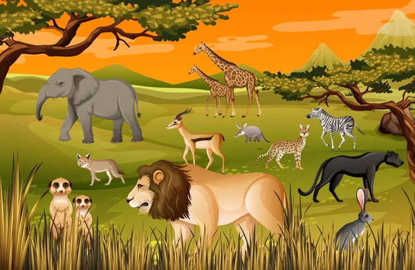 Grupo Animales Salvajes Africanos Escena Forestal Ilustración — Archivo Imágenes Vectoriales