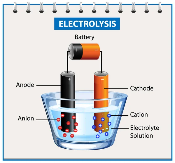 Experiência Diagrama Eletrólise Para Ilustração Educação — Vetor de Stock