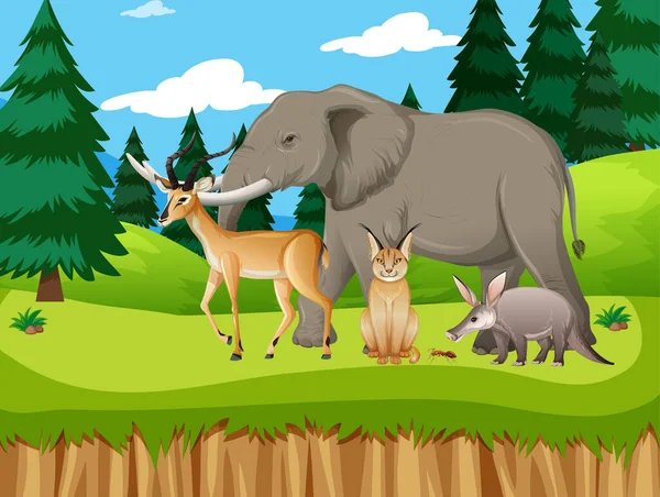 Grupo Animales Salvajes Africanos Escena Forestal Ilustración — Vector de stock