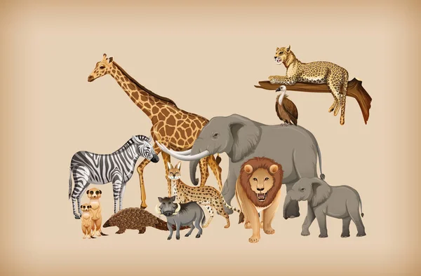 Skupina Volně Žijících Zvířat Pozadí Ilustrace — Stockový vektor