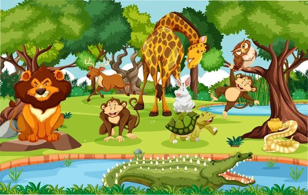 Animaux Sauvages Dans Jungle Illustration — Image vectorielle