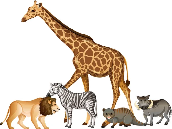Skupina Divoké Africké Zvíře Bílém Pozadí Ilustrace — Stockový vektor