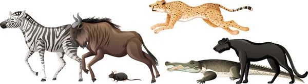 Grupo Animais Africanos Selvagens Sobre Ilustração Fundo Branco —  Vetores de Stock