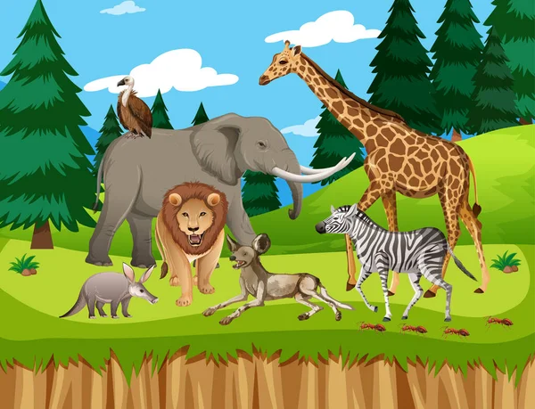 Grupo Animales Salvajes Africanos Escena Forestal Ilustración — Vector de stock