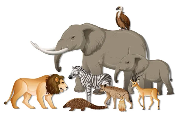 Grupa Dzikich Zwierząt Afrykańskich Białym Tle Ilustracja — Wektor stockowy