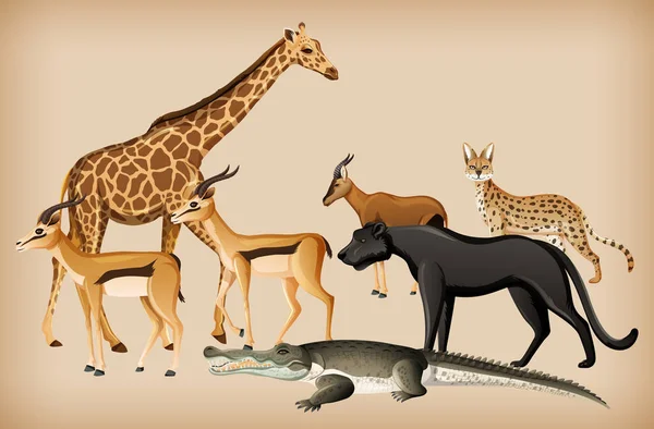 Gruppo Animali Selvatici Sfondo Illustrazione — Vettoriale Stock
