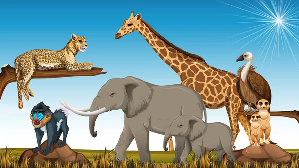 Grupo Animales Salvajes Africanos Escena Del Zoológico Ilustración — Vector de stock