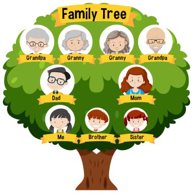 Üç kuşak aile ağacı çizimini gösteren diyagram