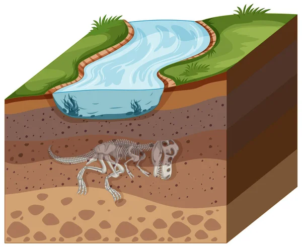 Soil Layers Dinosaur Fossil Illustration — Stock Vector
