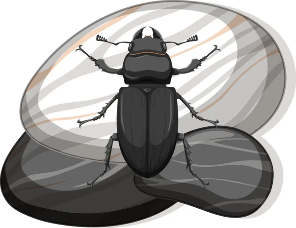 Vista Superior Del Escarabajo Metálico Estiércol Sobre Una Piedra Sobre — Vector de stock