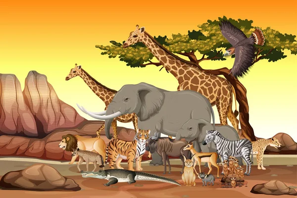 Grupp Vilda Afrikanska Djur Skogen Scenen Illustration — Stock vektor