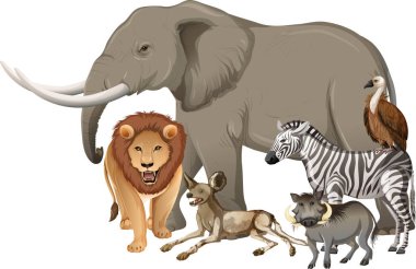 Beyaz arka planda bir grup vahşi Afrika hayvanı