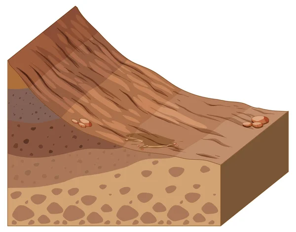 岩石地質図の異なる層 — ストックベクタ