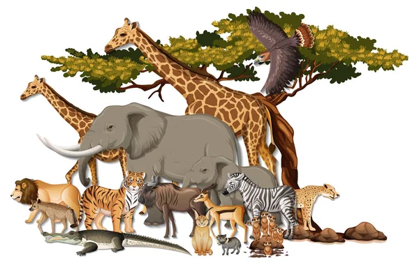 Skupina Divokých Afrických Zvířat Bílém Pozadí Ilustrace — Stockový vektor