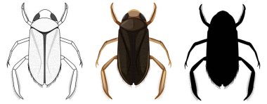 Su kayıkçısı seti beyaz arkaplan illüstrasyonunda üç stil