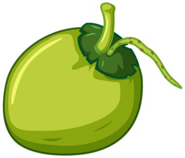 Beyaz arkaplan resimlerinde basit hindistan cevizi