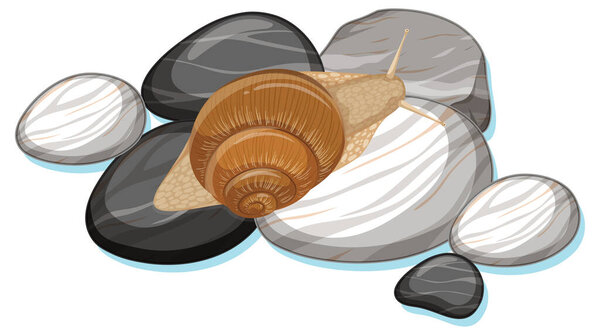 Top view of snail on a stone on white background illustration