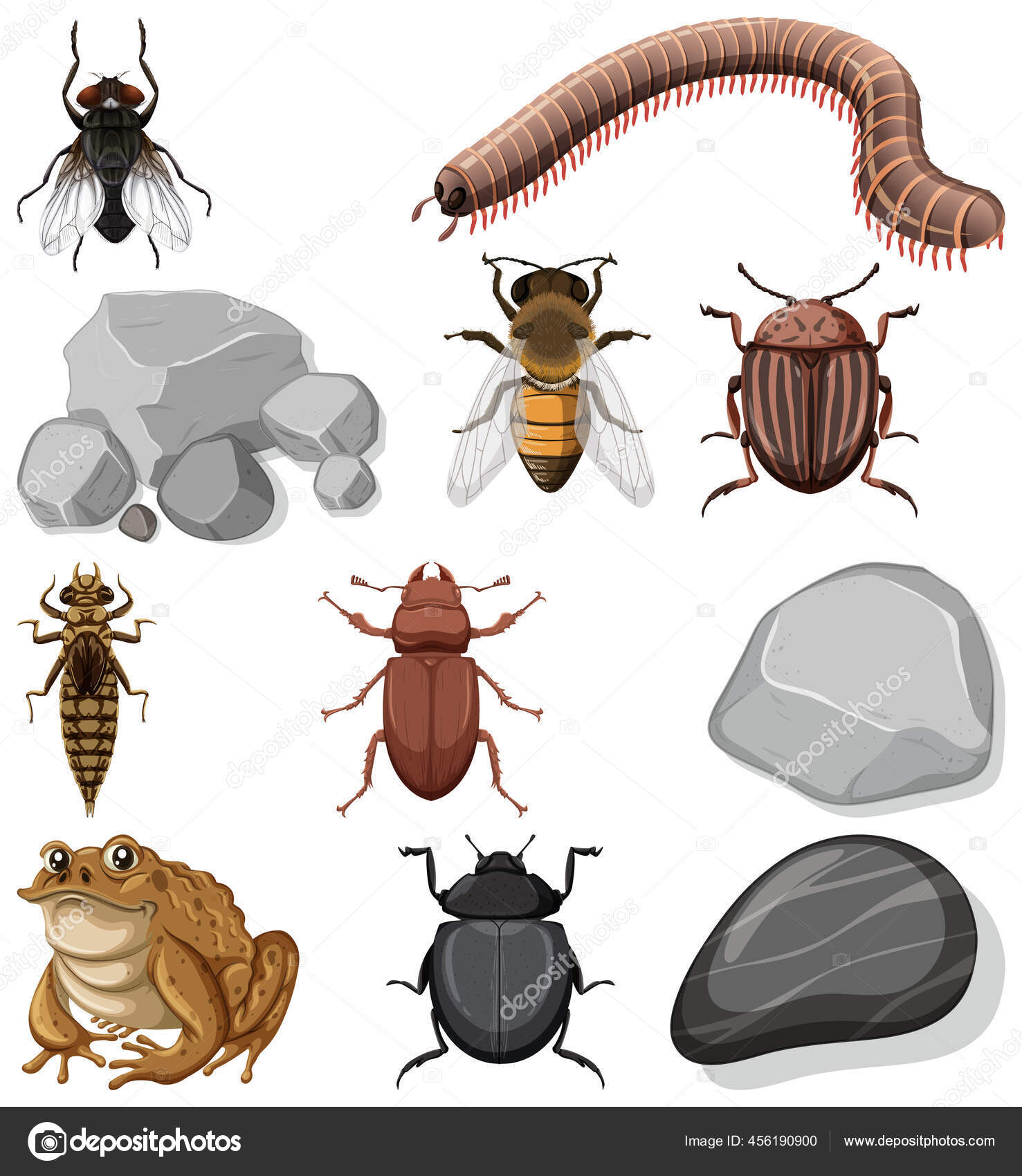 Different Types Insect Nature Elements Illustration Stock Vector Image ...