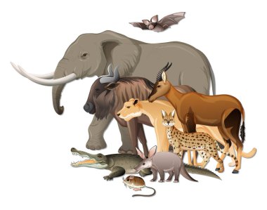 Beyaz arkaplandaki vahşi Afrika hayvanları grubu