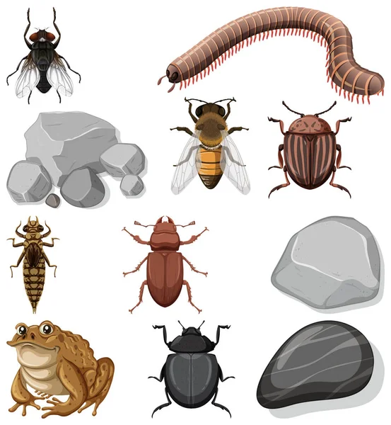 Berbagai Jenis Serangga Dengan Ilustrasi Elemen Alam - Stok Vektor