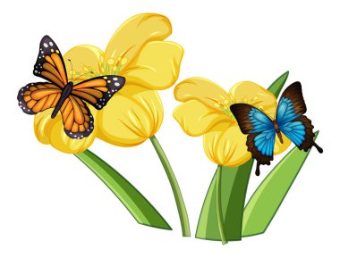 Çiçeklerin üzerindeki kelebeğin resmini kapat