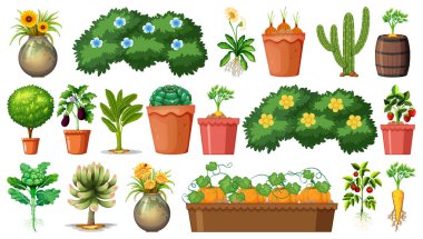 Beyaz arkaplan illüstrasyonunda izole edilmiş çömleklerdeki farklı bitkiler