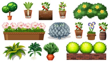 Beyaz arkaplan illüstrasyonunda izole edilmiş çömleklerdeki farklı bitkiler