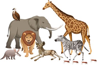 Beyaz arka planda bir grup vahşi Afrika hayvanı