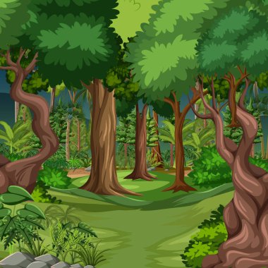 Birçok ağaç resimli orman sahnesi