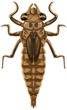 Yusufçuk böceği beyaz arkaplanda izole edilmiş.